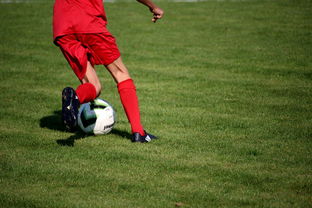 开云网址入口-篮球运动员心理韧性培养与干预体系，篮球运动员的心理选材