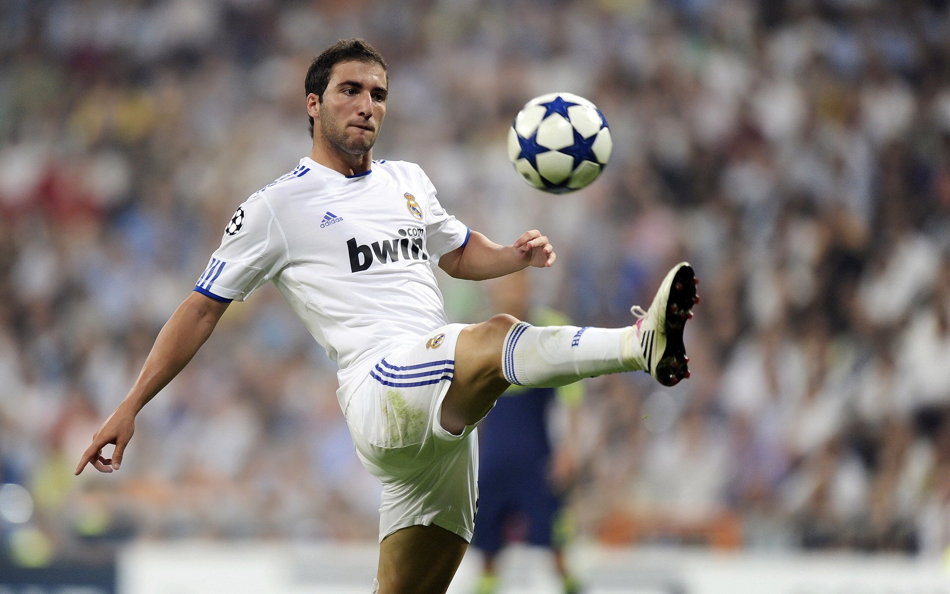 Chinese Taipei:科技助力下的未来体育发展趋势,未来体育是台湾的吗