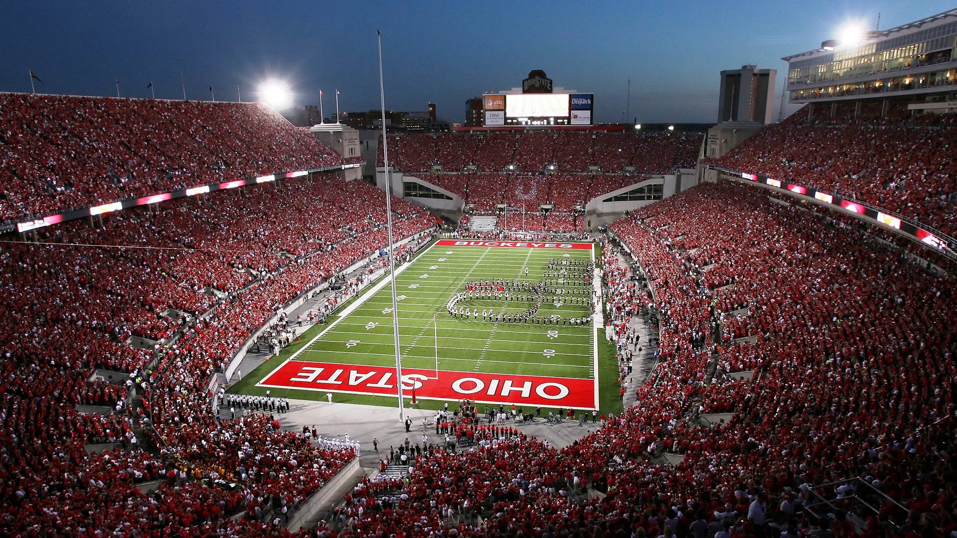 “埃尔斯·霍斯特：南非羚羊队稳定防守背后的功臣”